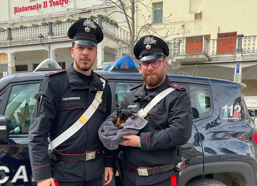Tula, cucciolo vaga per la strada: salvato dai carabinieri