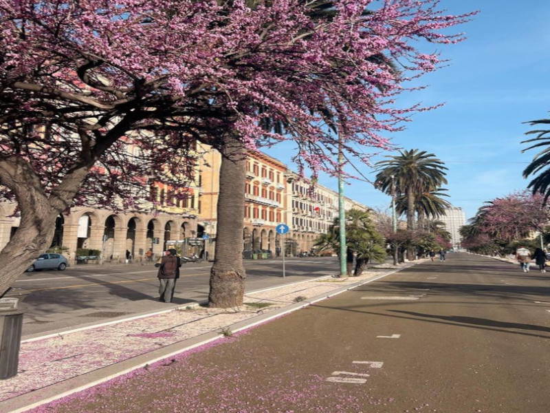 Meteo Casteddu, Nuoro più calda di Cagliari: 24 gradi e clima quasi estivo