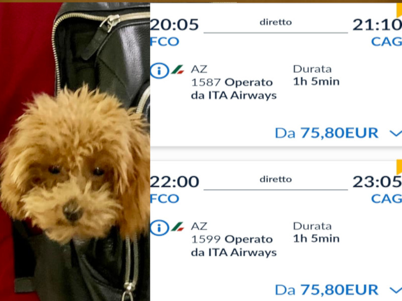 Ita, il salasso è servito: “120 euro per viaggiare con il cane e anche 250 per tornare a Cagliari”