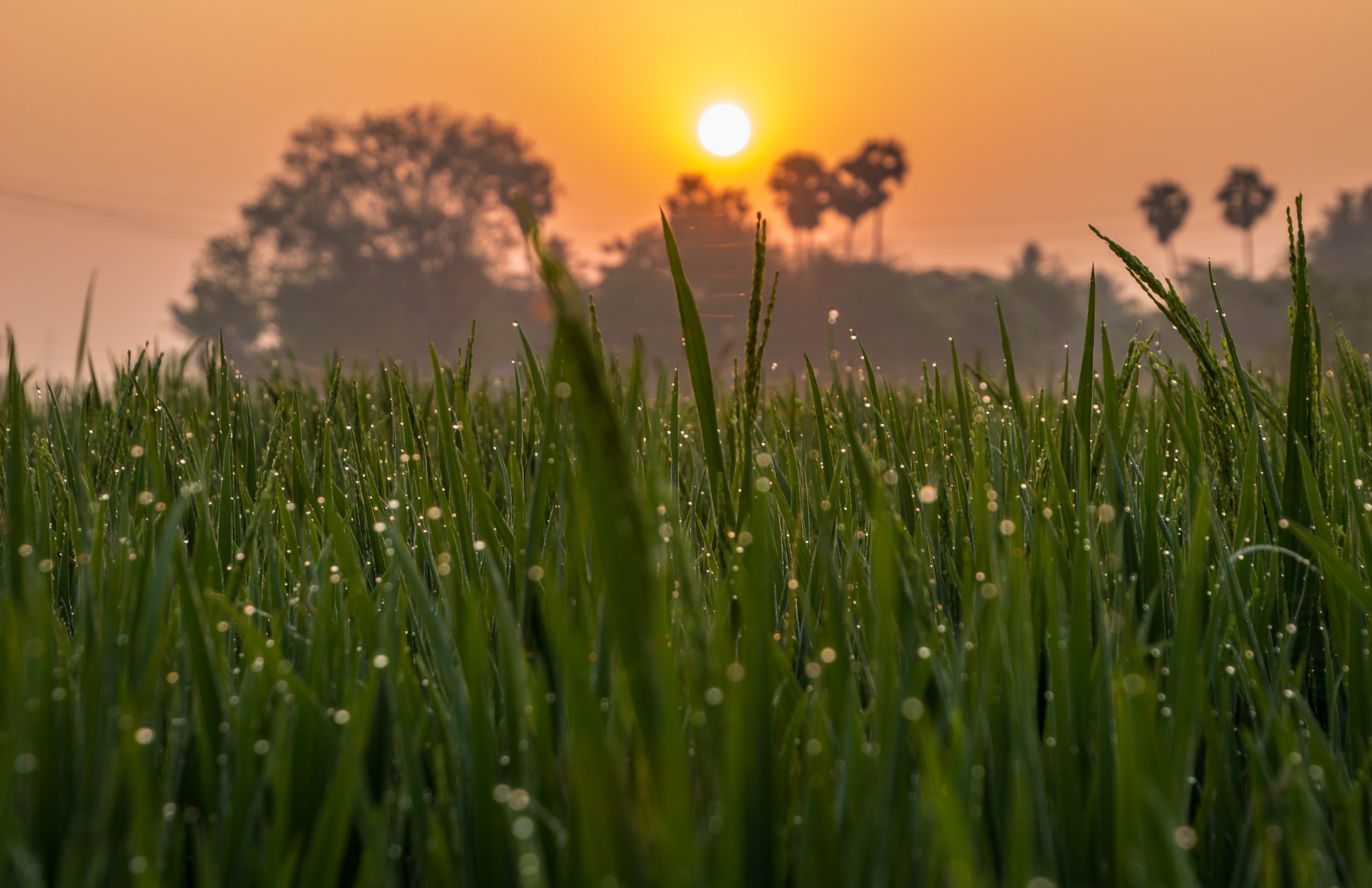 Meteo Casteddu, più umidità e temperature in calo: la primavera parte senza il grande caldo