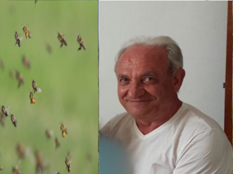 Muore assalito da uno sciame d’api a Carbonia, scafandro chiuso male: addio a Fausto Congiu