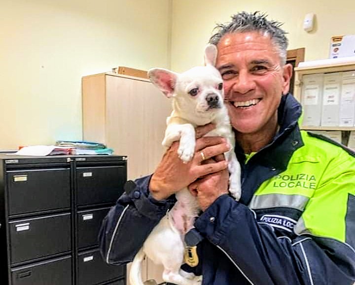 Sestu, cagnolino in difficoltà salvato dalla polizia municipale