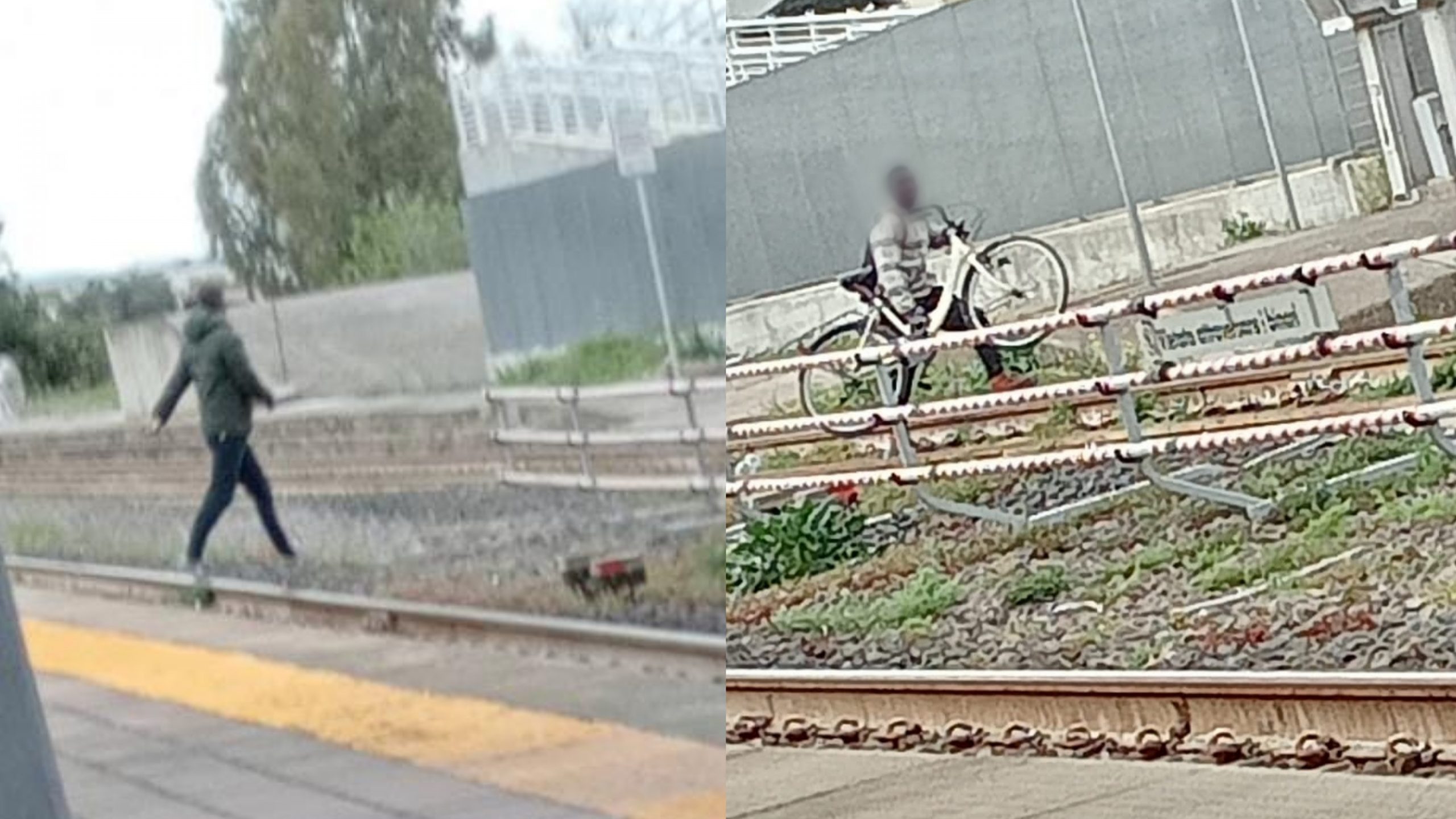 A Samassi balordi attraversano i binari poco prima del passaggio del treno