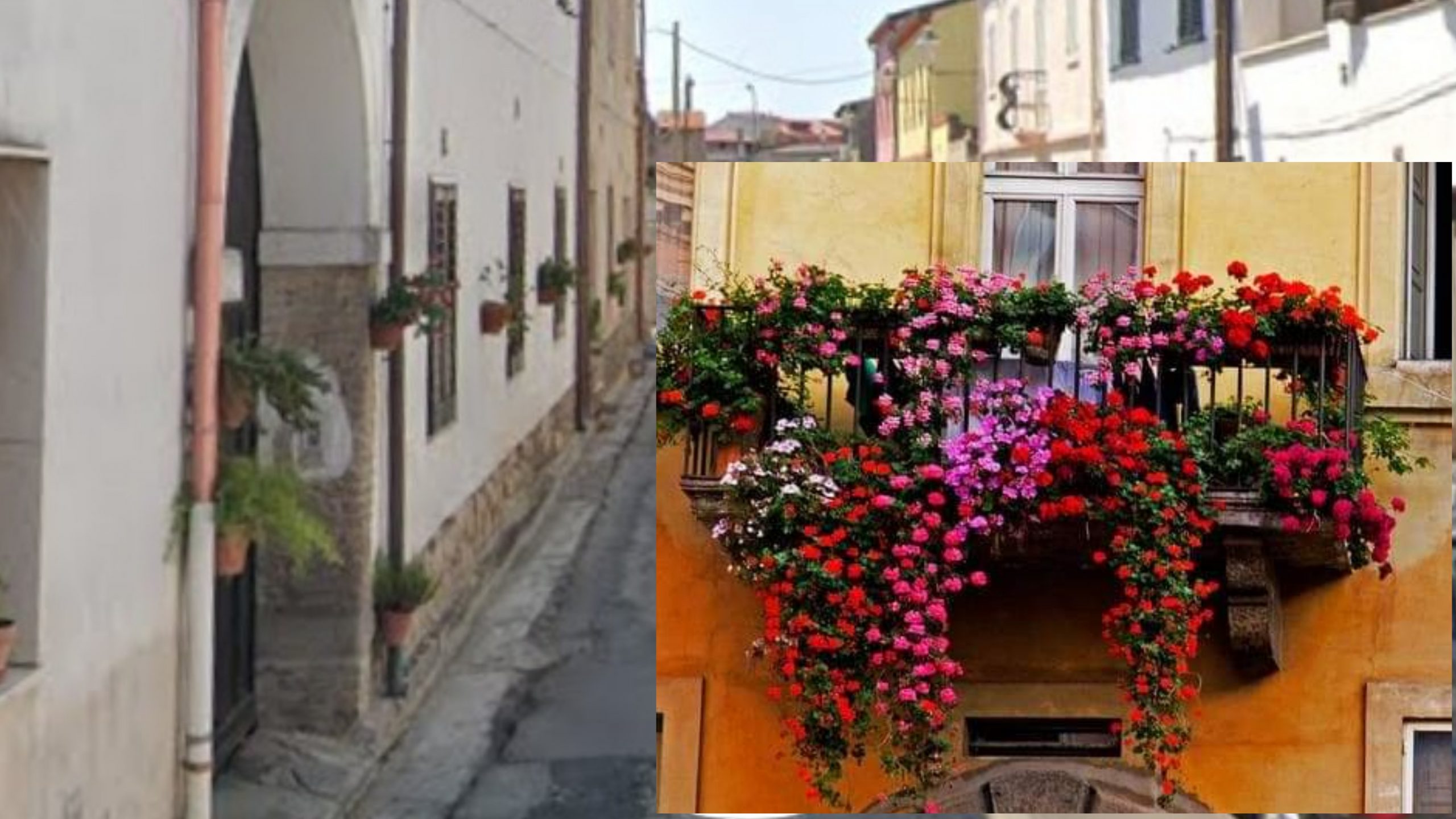 “Serramanna città in fiore”: al via la prima edizione del concorso più colorato