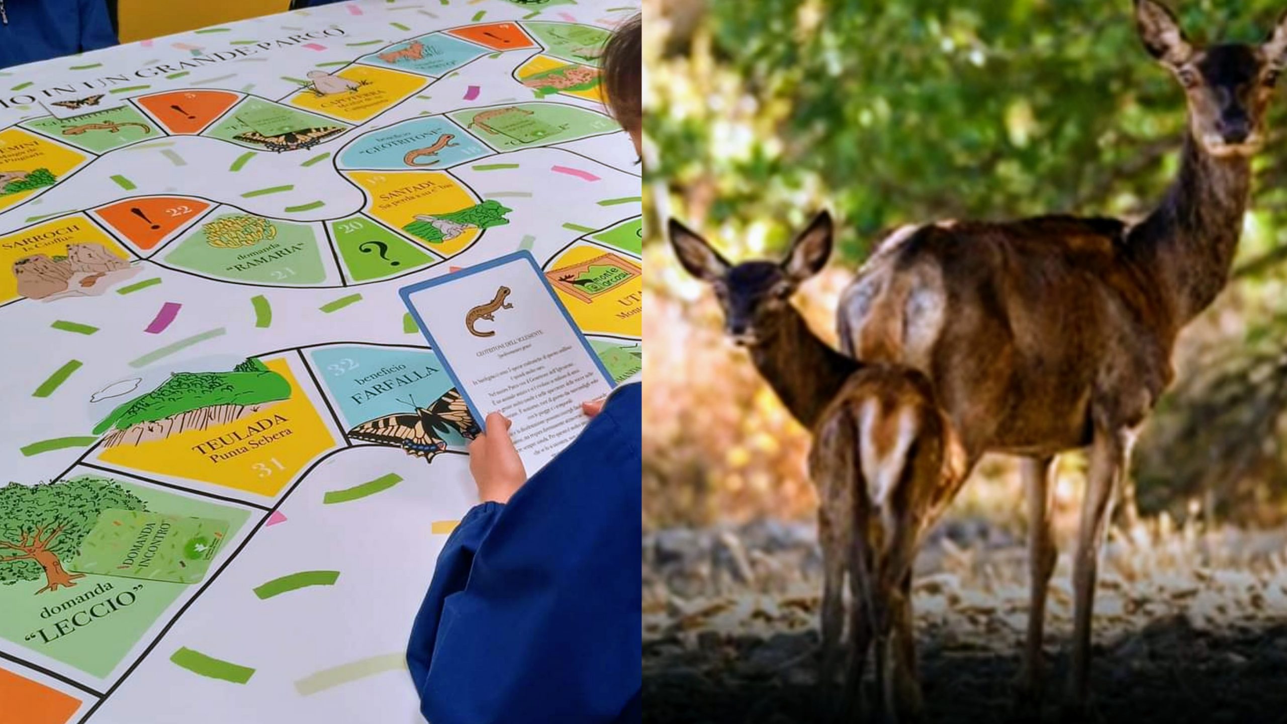 Parco di Gutturu Mannu: gioco di società per scoprire le bellezze dell’area verde