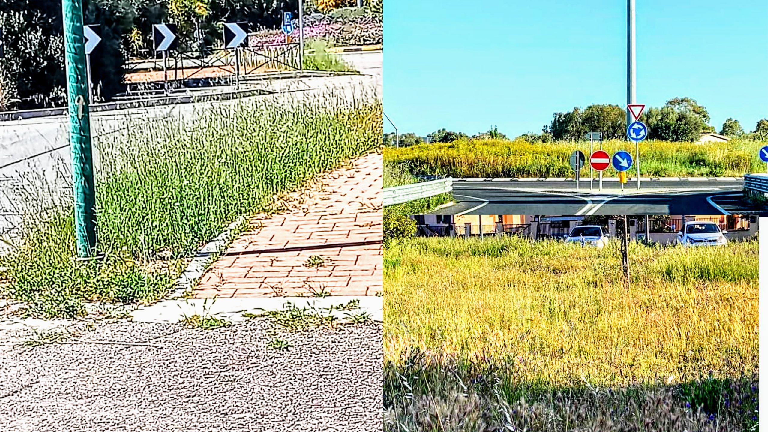 Duro attacco da “SiAmo Pula” per la folta vegetazione che ricopre gran parte del paese