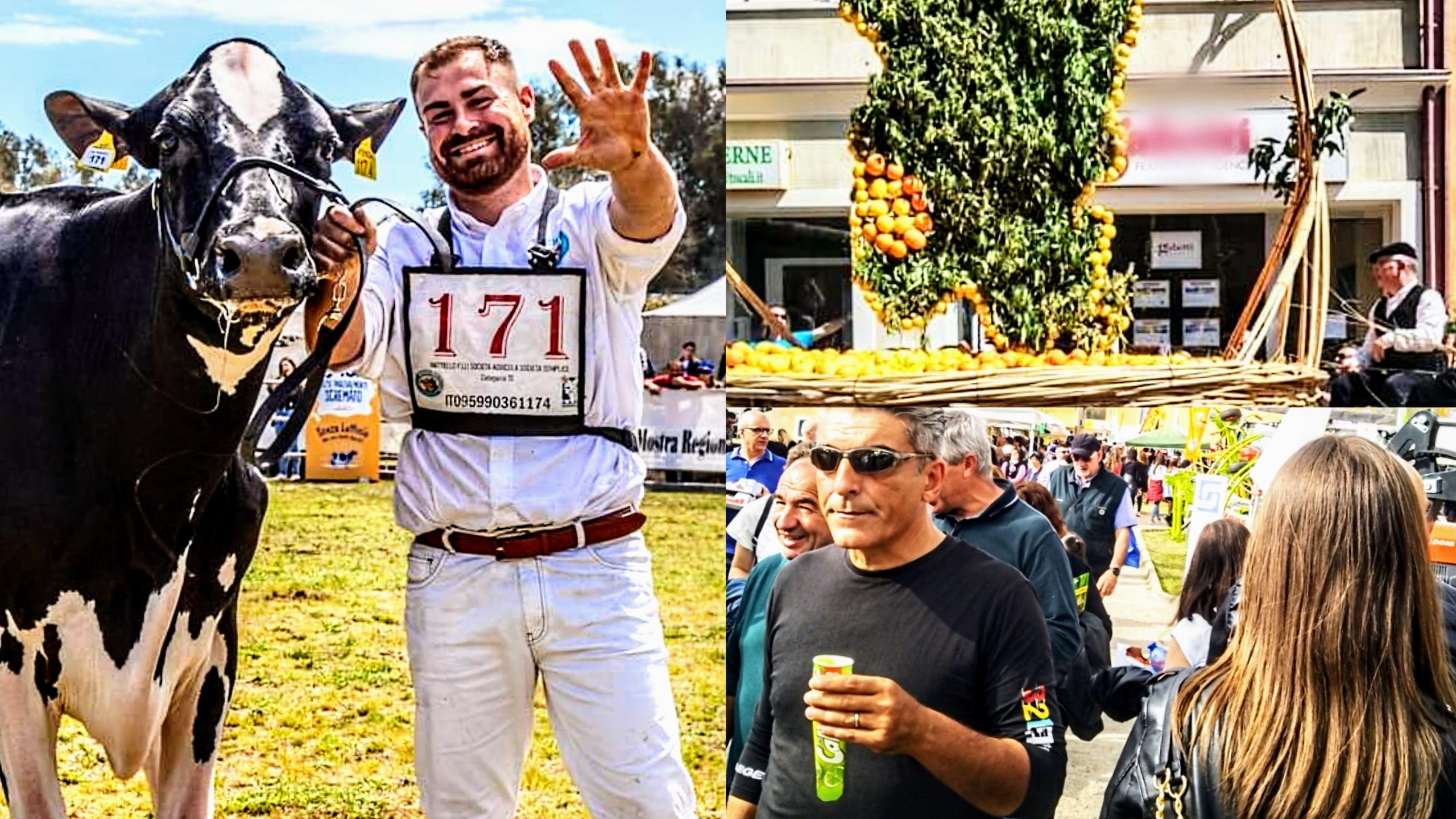 Tripudio di colori, profumi e sapori: da Muravera ad Arborea, tra agrumi e fragole