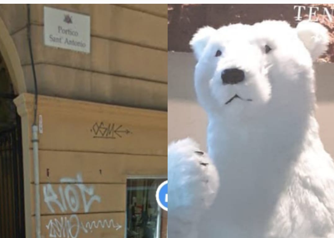 Cagliari, rubato l’orso mascotte della Marina: “Dovevamo donarlo a un asilo, ridatecelo”