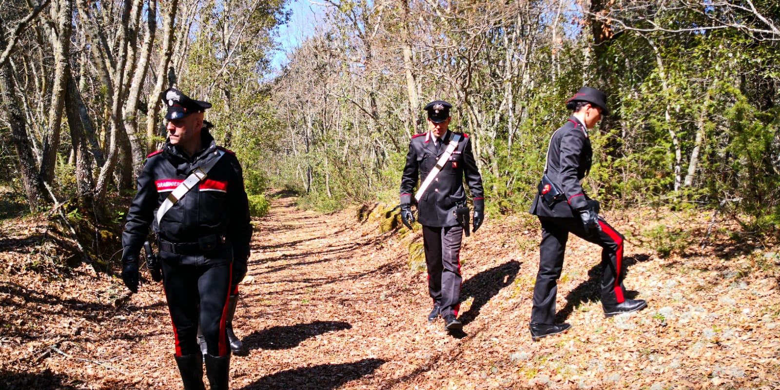 Affitta un terreno a un pastore, ma non lo sa e il contratto è falso: truffatore denunciato a Guspini