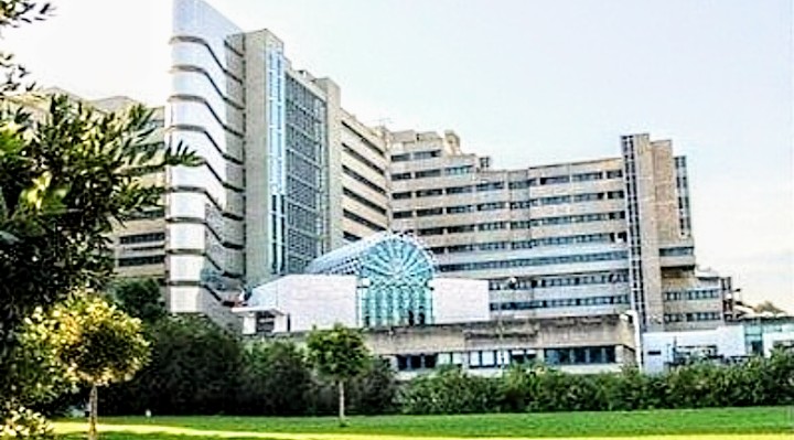 Cagliari, una petizione per fermare la chiusura della Diabetologia del Brotzu: in poche ore raccolte oltre 600 firme