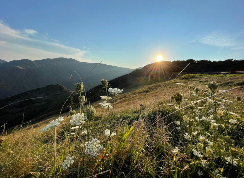 Meteo Casteddu, sulla Sardegna non piove più: regnano caldo e temperature quasi estive