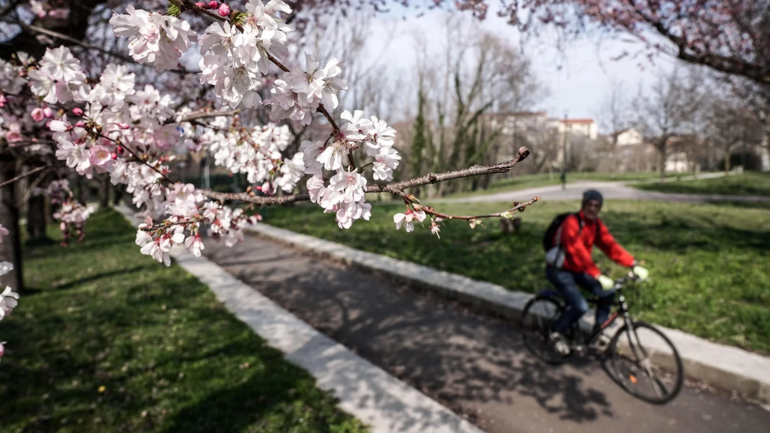Meteo Sardegna, primavera in rimonta sulla Sardegna: sole e 20 gradi