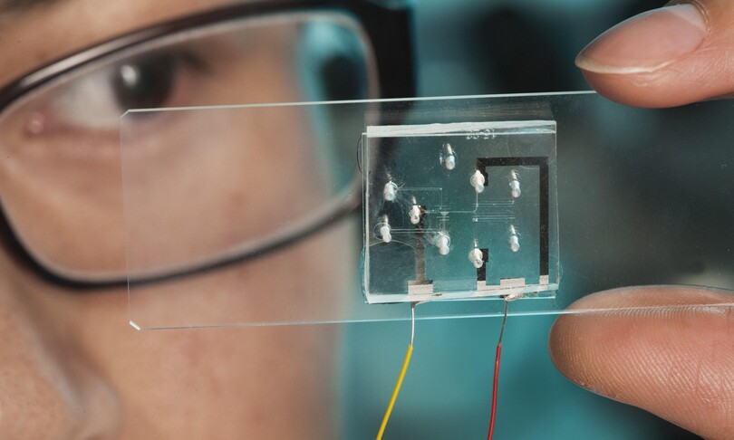 “Chip nel cervello? Si rischia l’effetto Orwell”