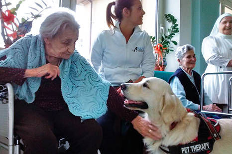 Pet therapy a Quartu, sì ai cani nelle case di riposo: “Miglioreranno l’umore degli anziani”