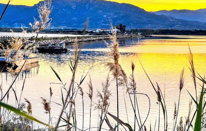 Pula, in canoa nella laguna di Nora per vivere la natura e la biodiversità