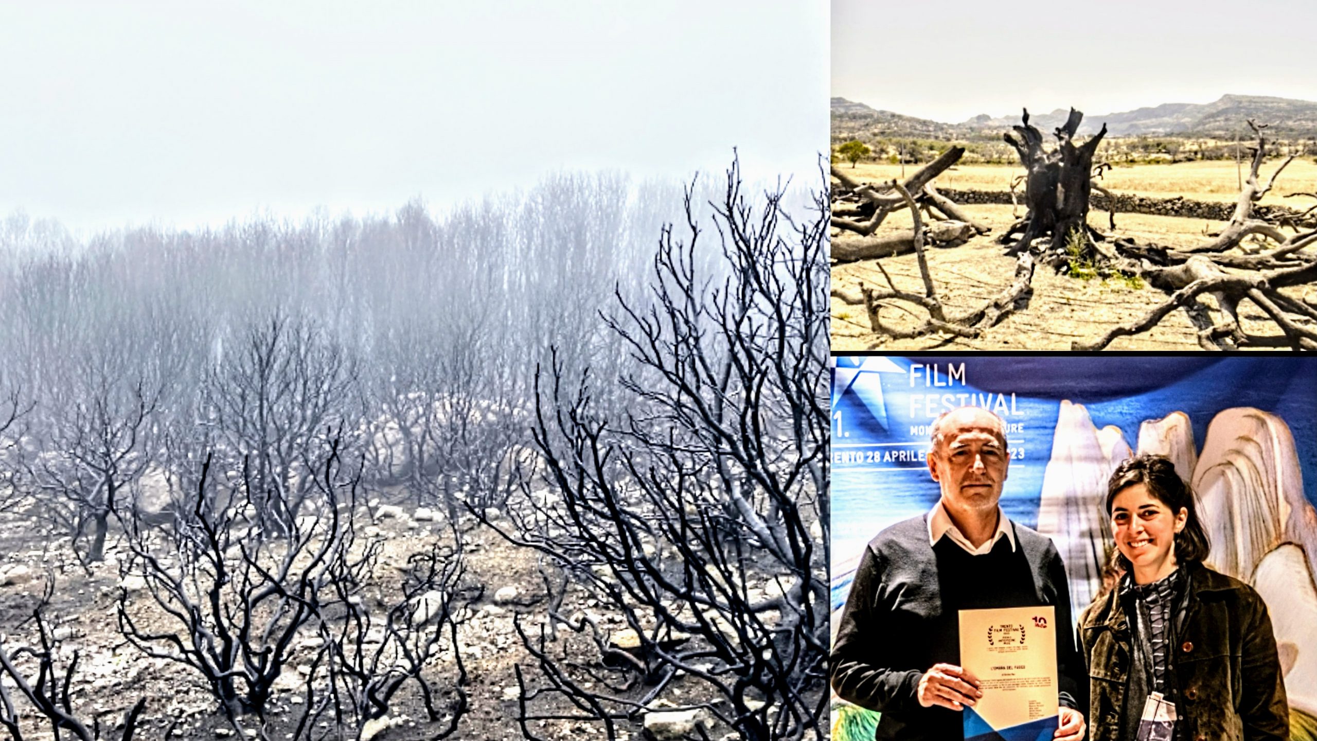 Il Premio Antropocene al film sul devastante rogo del Montiferru
