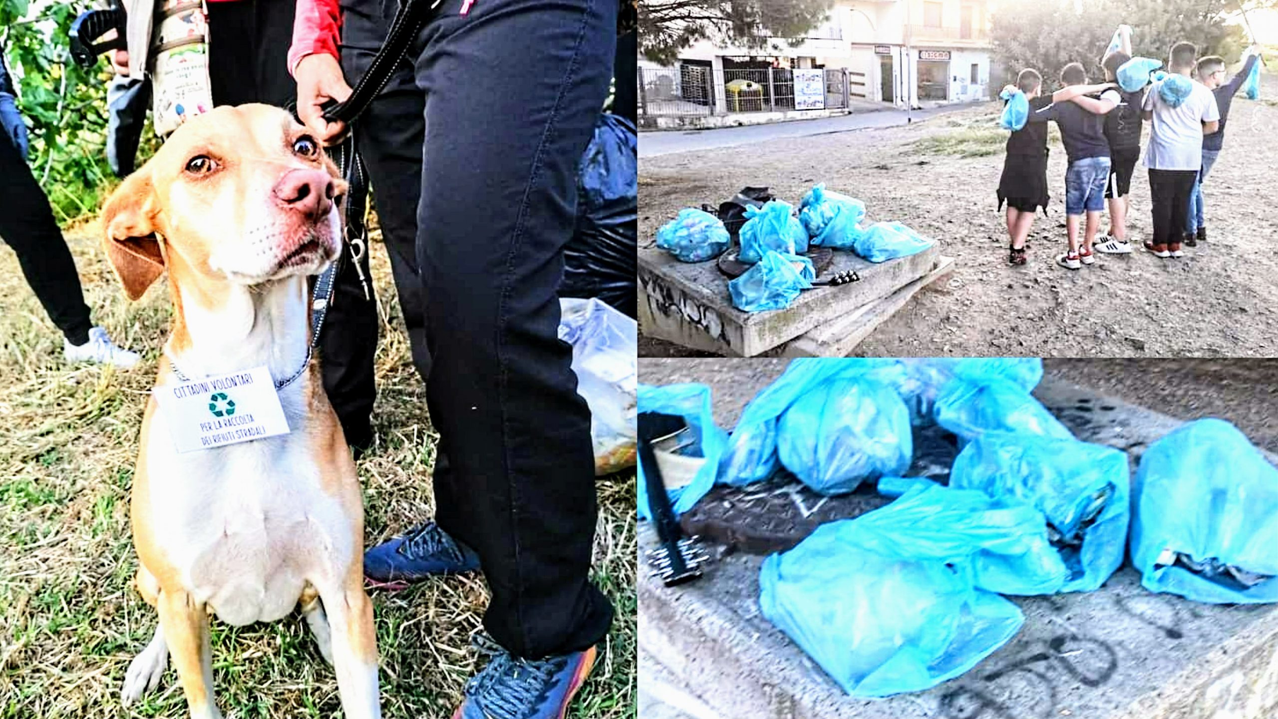 Settimo San Pietro, giovani e adulti insieme per ripulire il paese