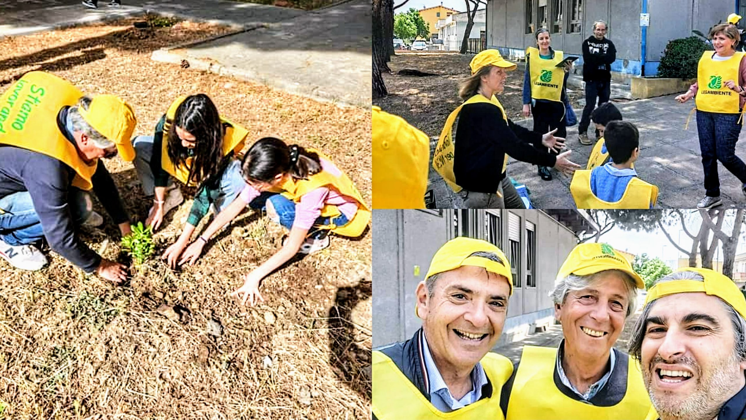 Monserrato, al via la piantumazione di 220 piante