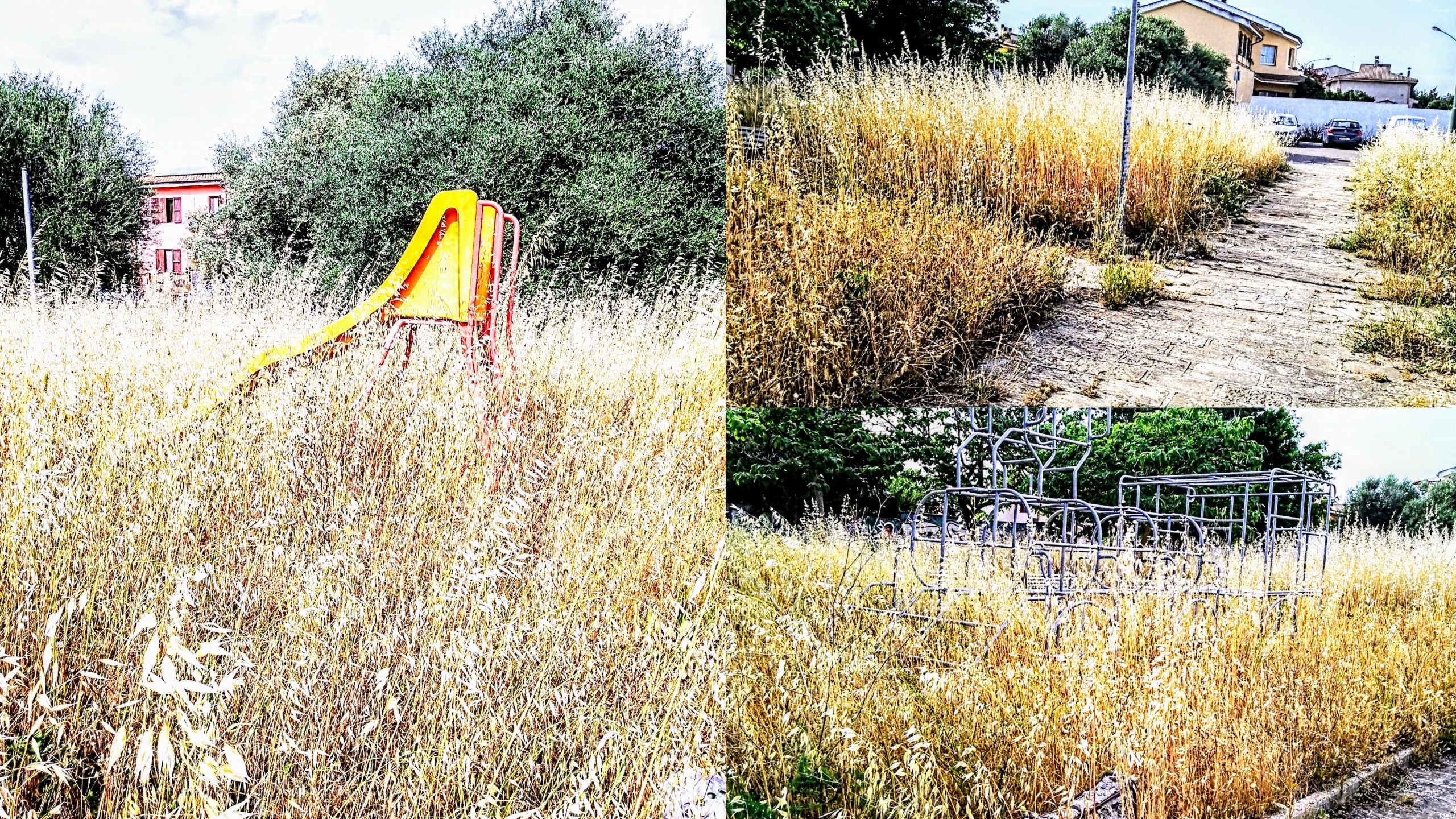 Serramanna in fiore? No, sepolta dalle erbacce