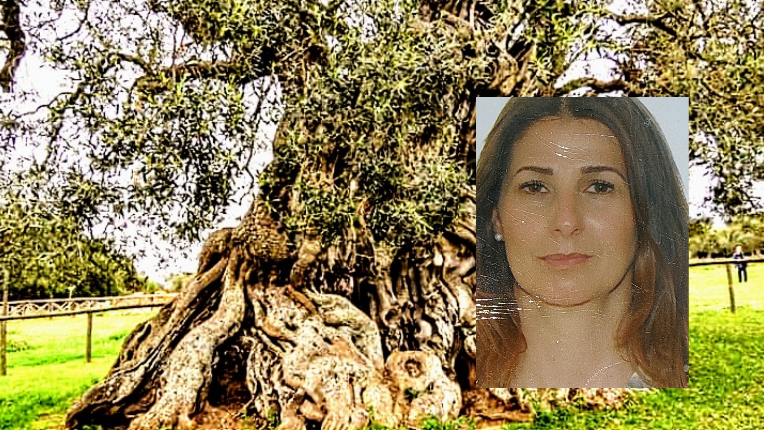 S’Ortu Mannu in pericolo: “Sagre e feste? Si, ma fuori dall’oasi”