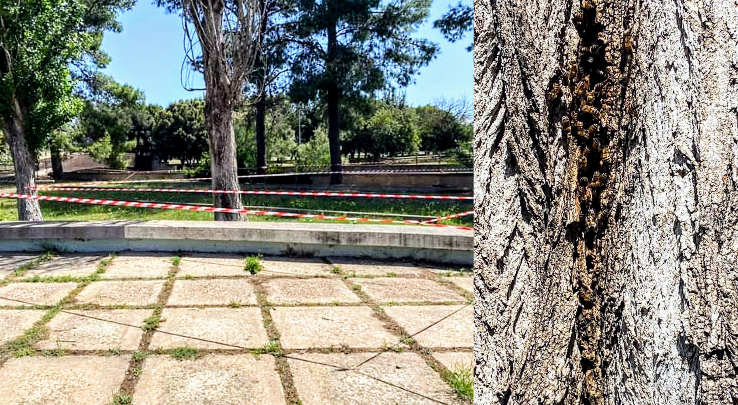 Siliqua, parco giochi off limits: è stata rilevata la presenza di un nido d’api