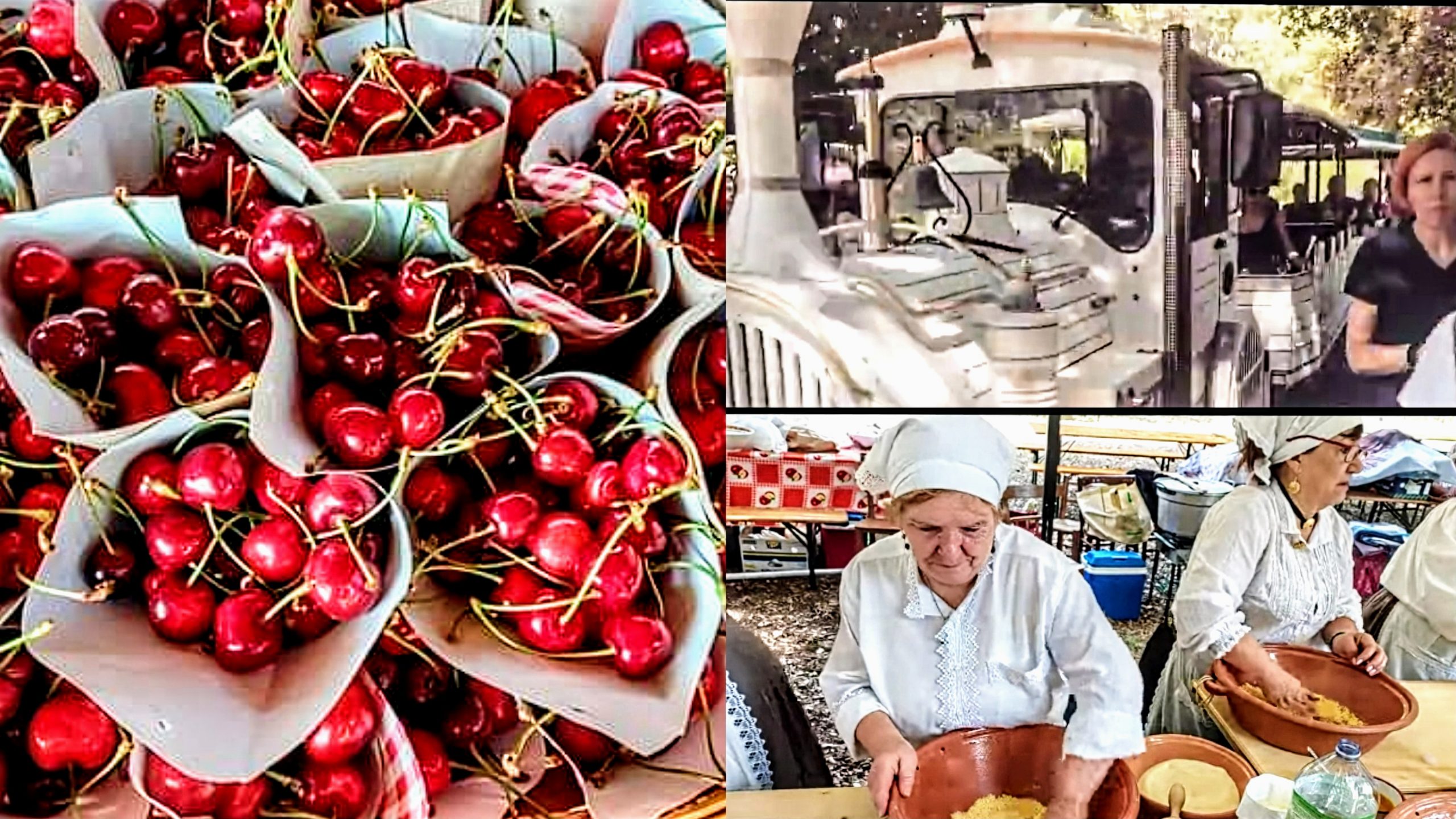 Villacidro, boom di visitatori alla sagra della ciliegia