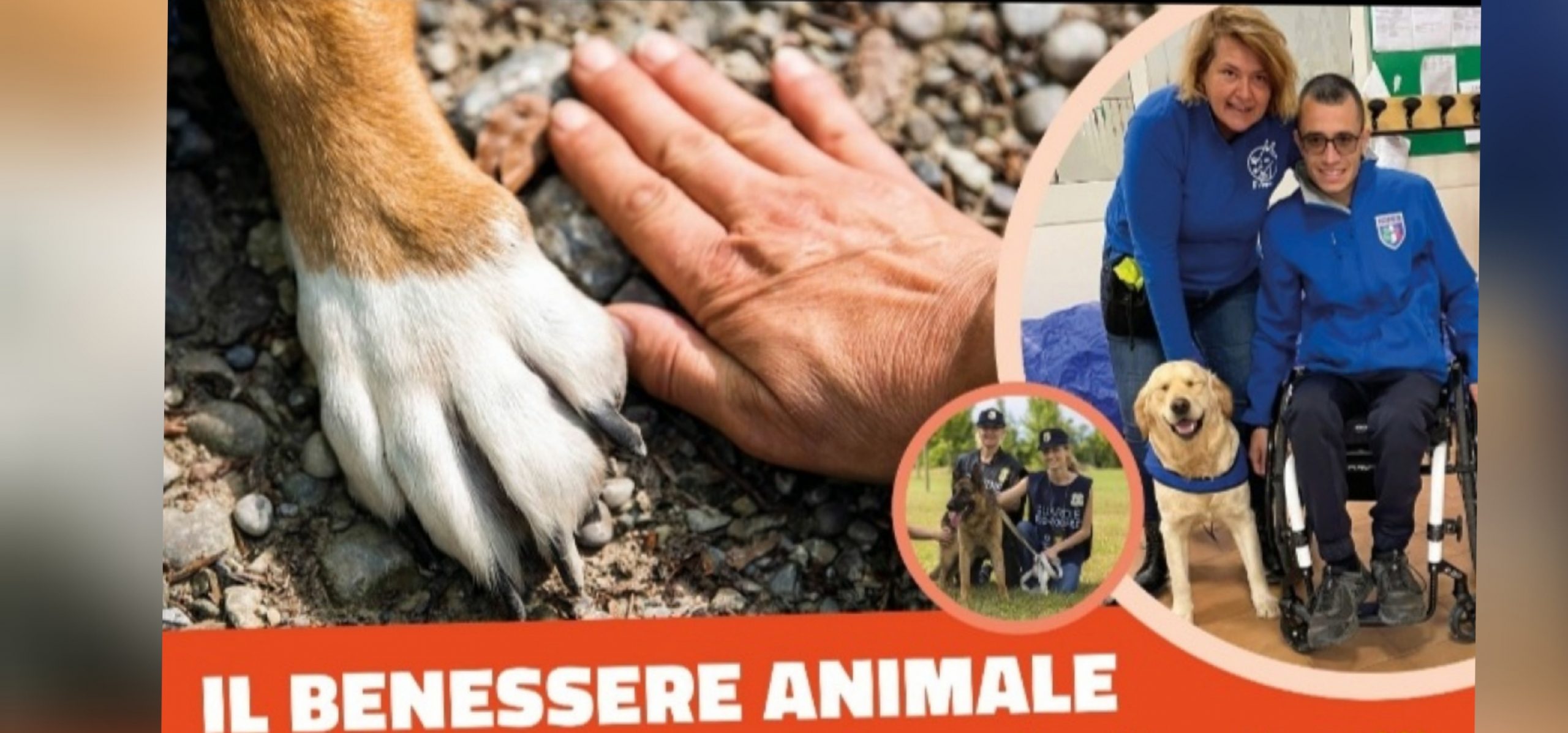 A Quartu secondo appuntamento con “Il benessere animale”