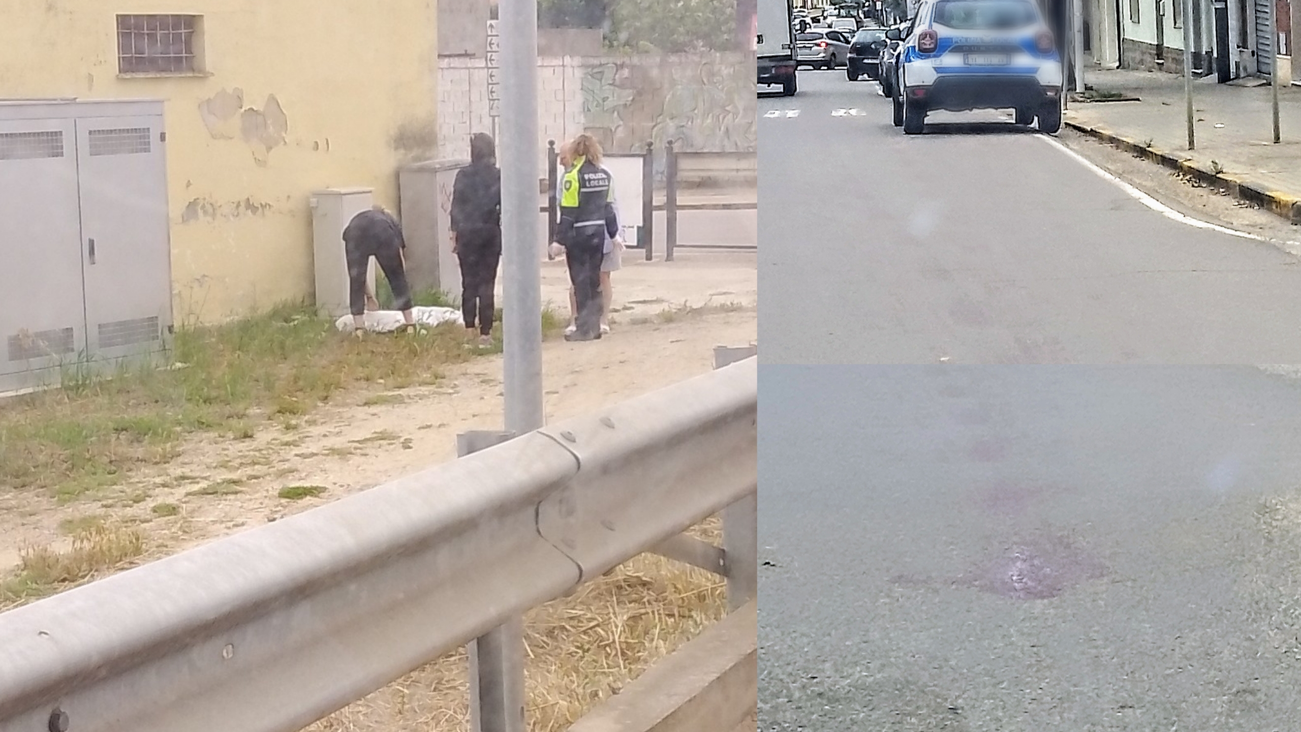 Prende in pieno un cane con l’auto e lo ammazza: emergenza randagi a Samassi