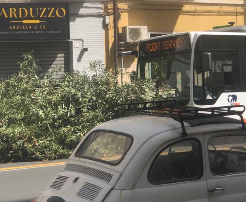 Cagliari, paura in via Sonnino: bus colpisce un albero e il tronco crolla sulla strada (VIDEO)