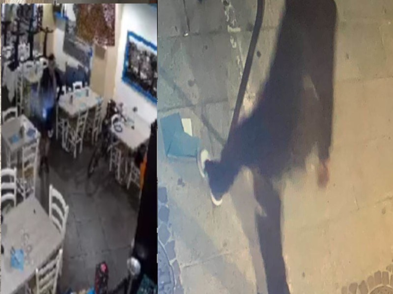 Cagliari, ladri scatenati e paura alla Marina: uno straniero fa incetta di vini e salumi