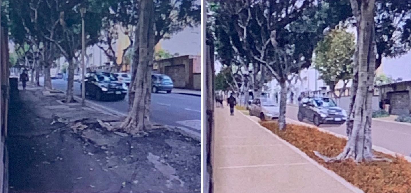 Cagliari, nuovo look in arrivo per viale Merello: dimezzati i parcheggi