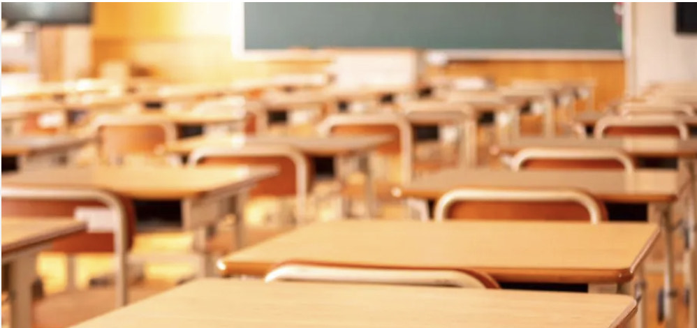 La storia di Cinzia Paolina Del Lio, la prof assente per 20 anni e licenziata: “Scusate ma ora sono al mare”