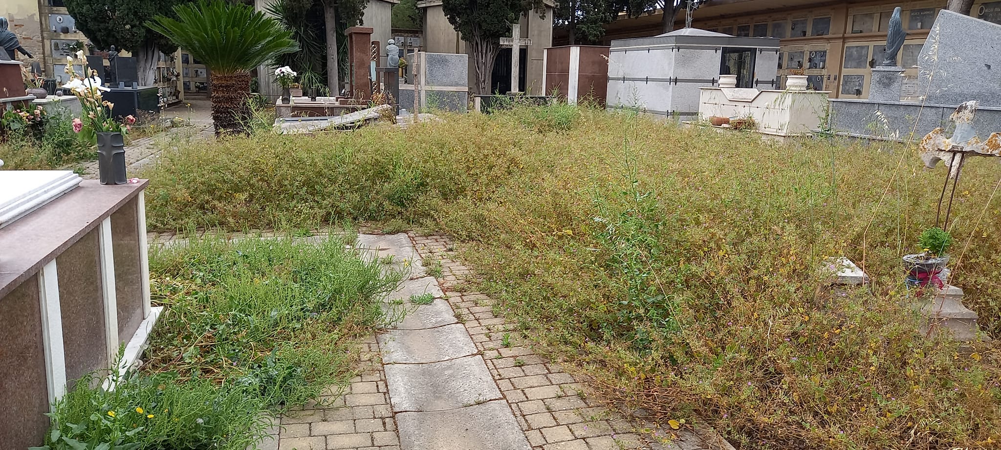 Quartu, ok alla nuova gestione del cimitero che cresce: più loculi e telecamere