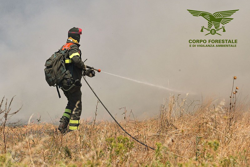 Sardegna, oggi 13 incendi: impegnati mezzi aerei e squadre a terra