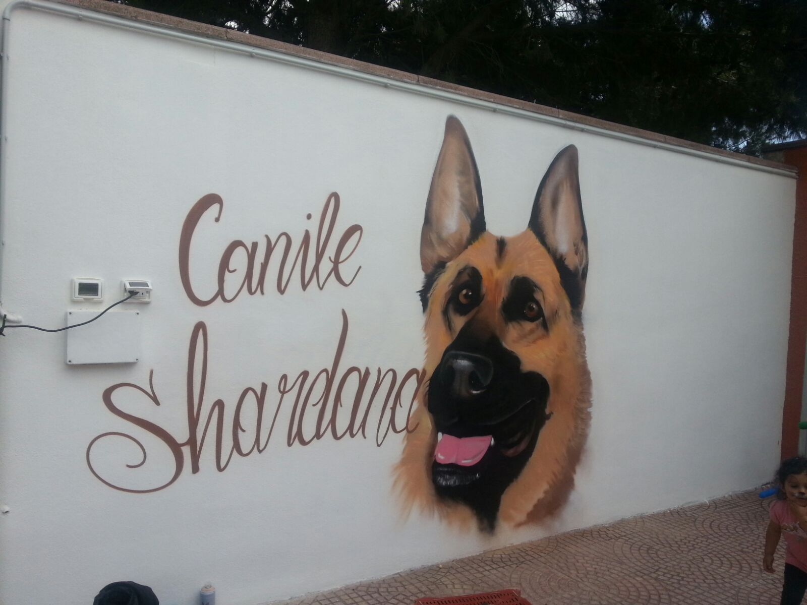 Quartu, 370 cani nel canile Shardana di Selargius: il Comune spende 667mila euro