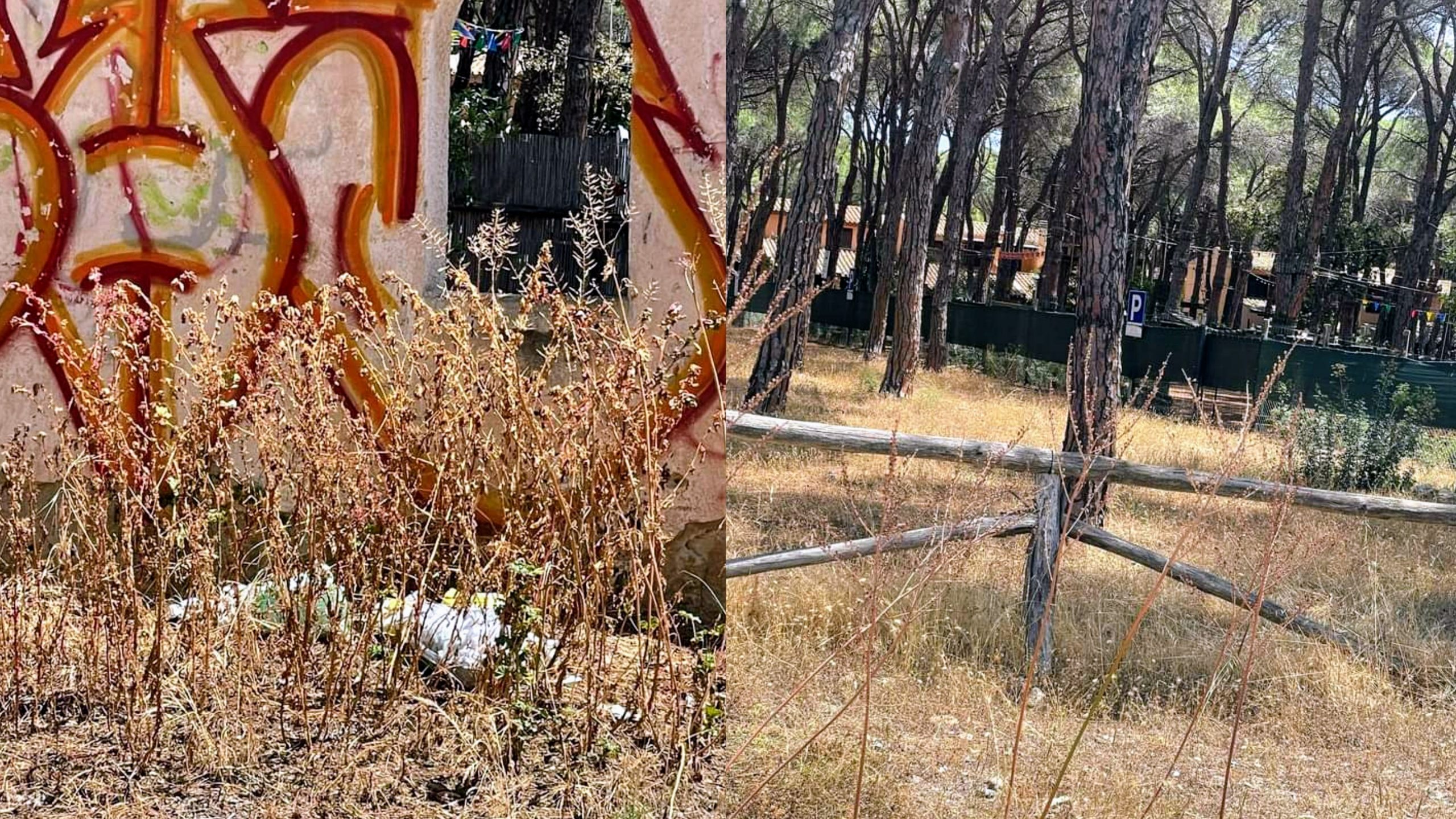 Pula: incuria, erbacce e immondizia fanno da decoro urbano
