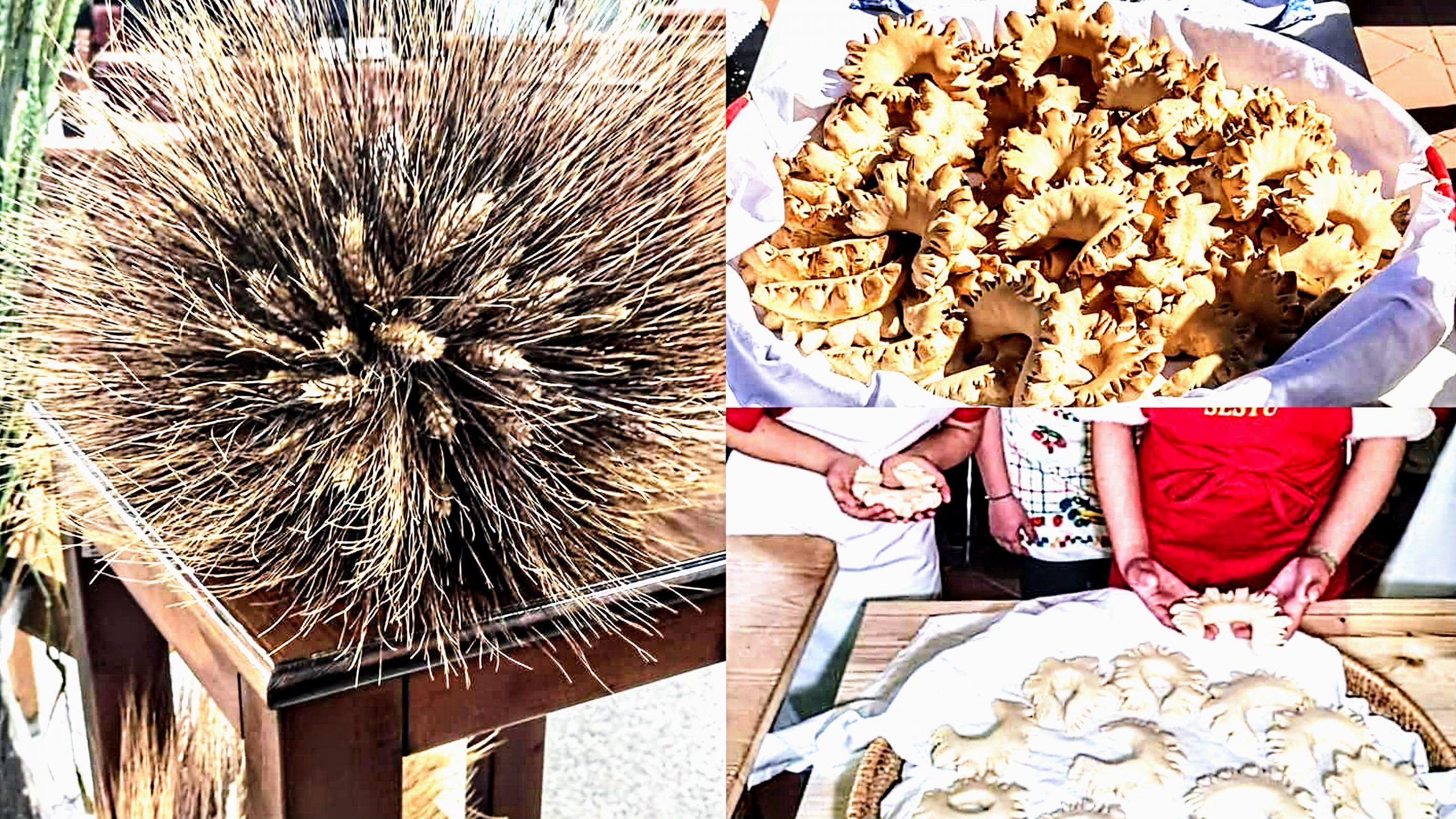 Gli studenti e l’arte dell’antica panificazione: profumi e sapori del passato a Sestu