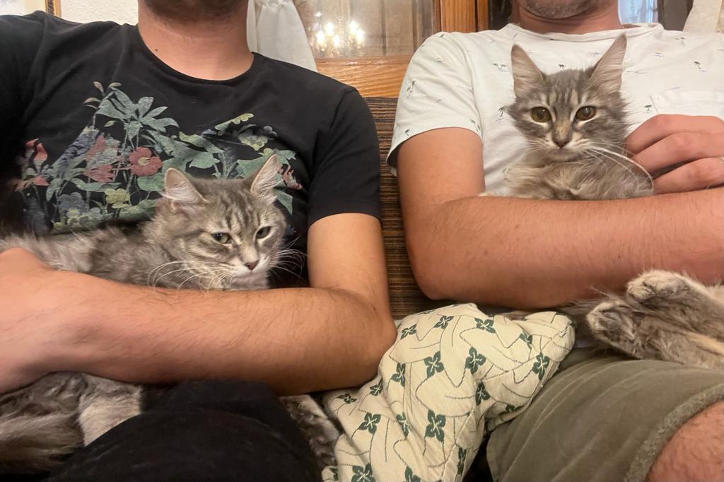 Sarroch, l’odissea di una coppia: “Vittime di un linciaggio social per due gatte smarrite e ritrovate”