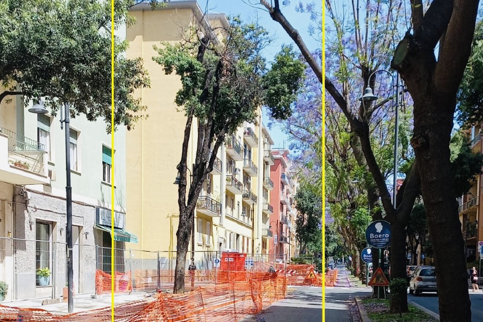 Cagliari, rischiano lo schianto e sono pericolosi: giù 14 alberi in via Dante