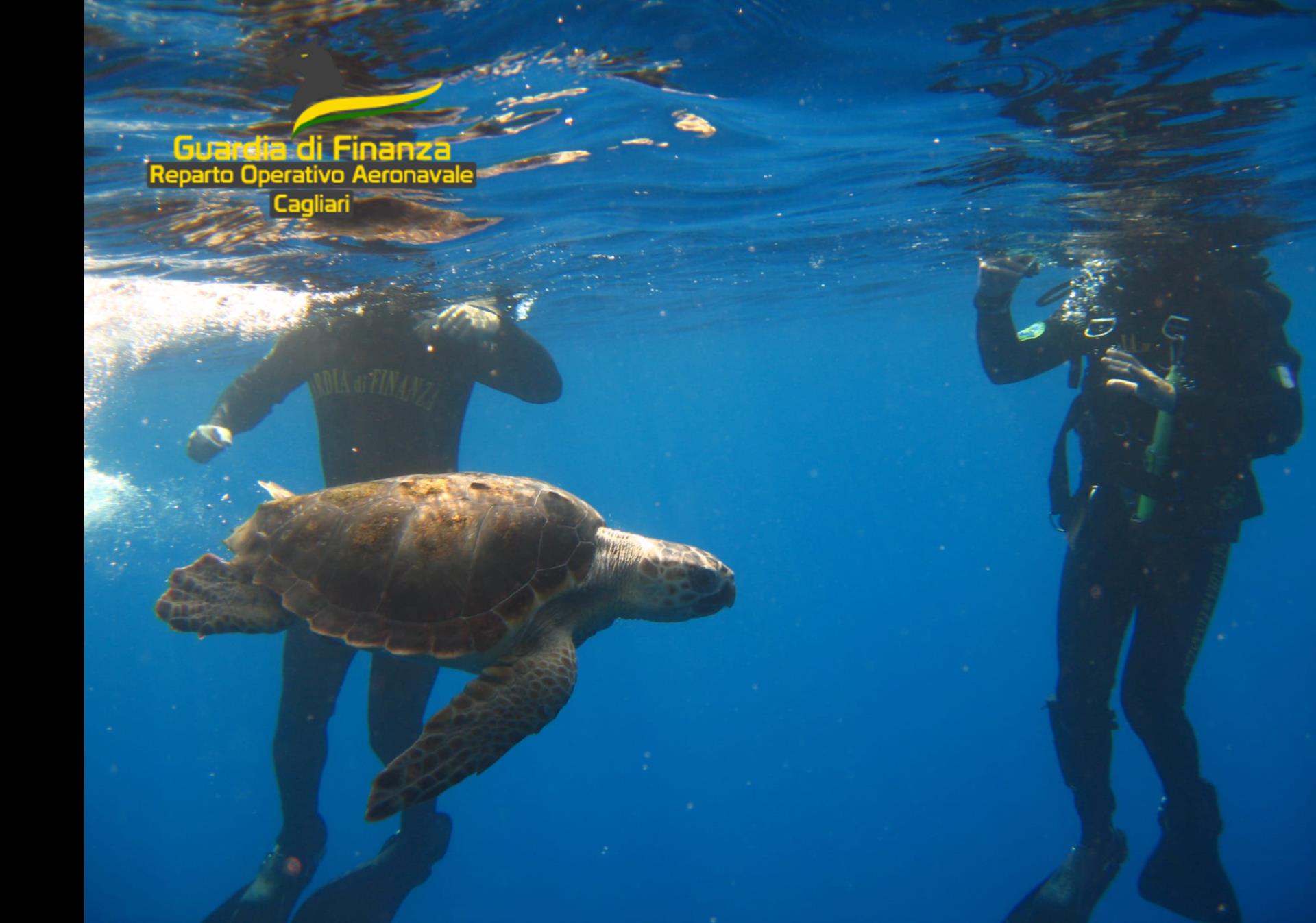 Liberata in mare a Perd’e Sali Osum, la tartaruga caretta-caretta rianimata a Nora