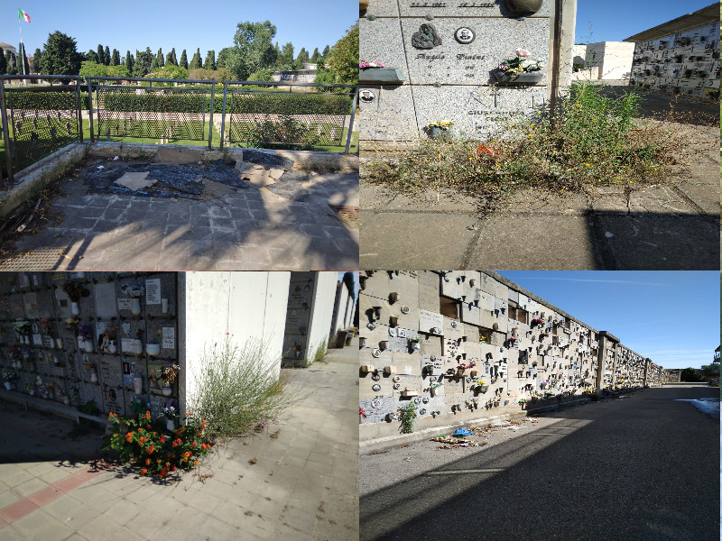 Al cimitero di Cagliari tra cespugli che coprono bare e acqua di fogna: “Chi comanda la città non visita i propri cari?”