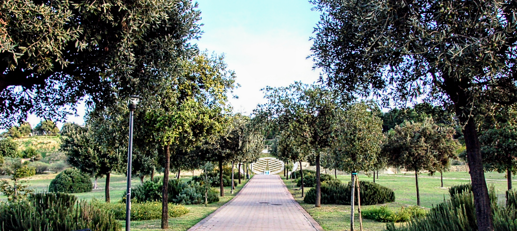 Cagliari, 50 nuove piante nel parco di Monte Claro