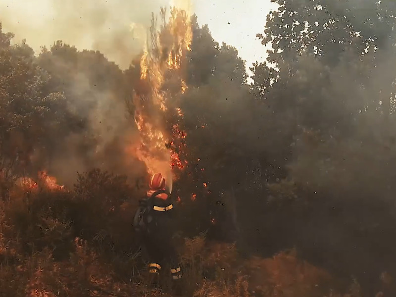Inferno di fuoco in Sardegna, 14 incendi sfregiano terreni e boschi con l’aiuto del maestrale