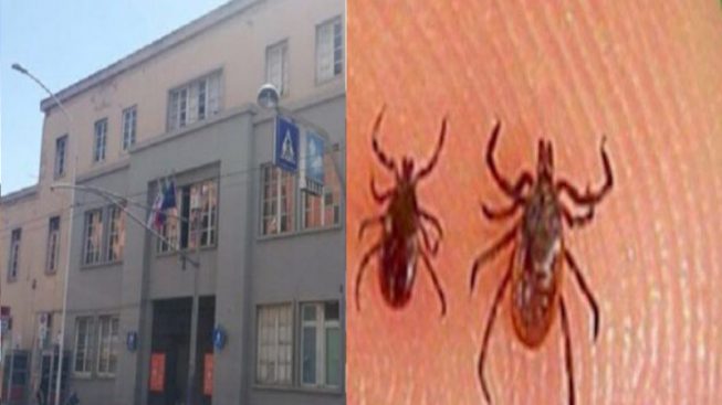 Zecche al Santissima Trinità di Cagliari, l’Asl: “Nessuna segnalazione dai pazienti e controlli in corso”