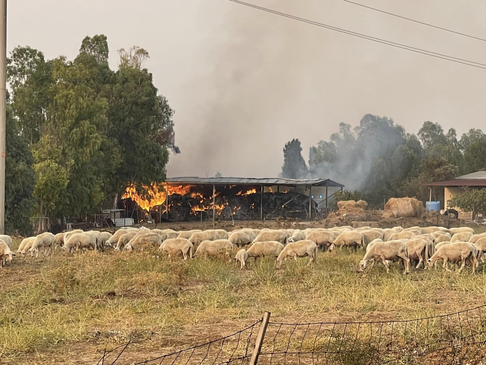 Vasto incendio nelle campagne di Villaspeciosa, fienile in cenere: “L’idiozia distrugge tutto”