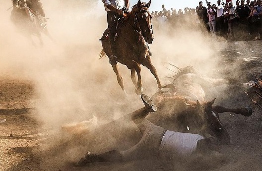 “Troppi incidenti, cavalli e cavalieri feriti e morti: abolite l’Ardia di Sedilo”