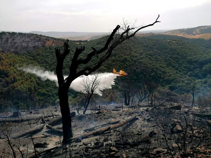 Sarcidano, la conta dei danni dopo il disastroso rogo di due giorni fa