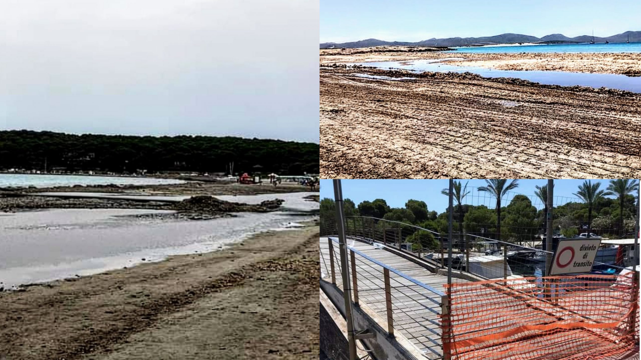 Scempio a Porto Pino, prima spiaggia quasi del tutto inagibile a causa della posidonia