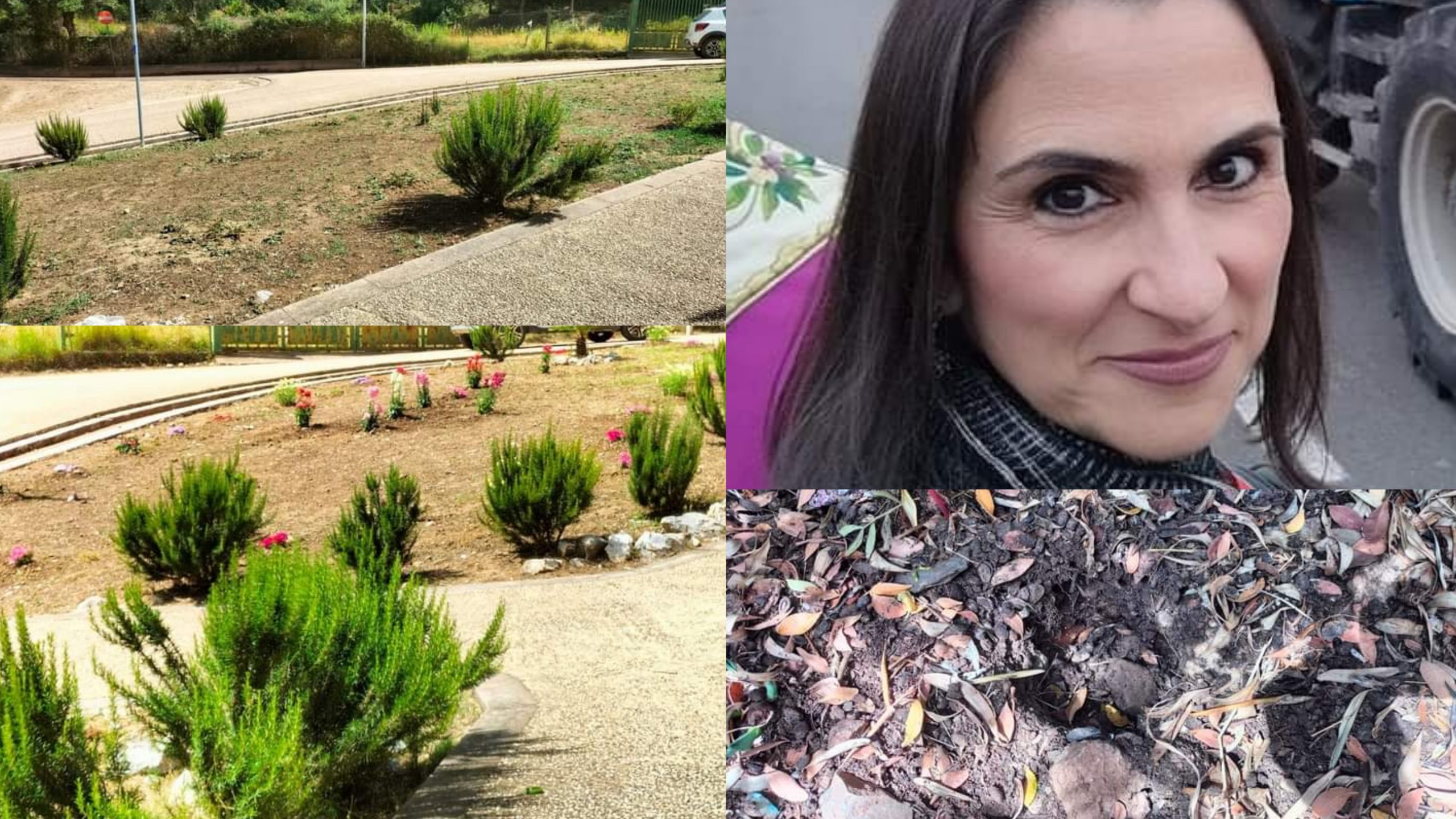 Ladri di fiori e piante scatenati a Domusnovas