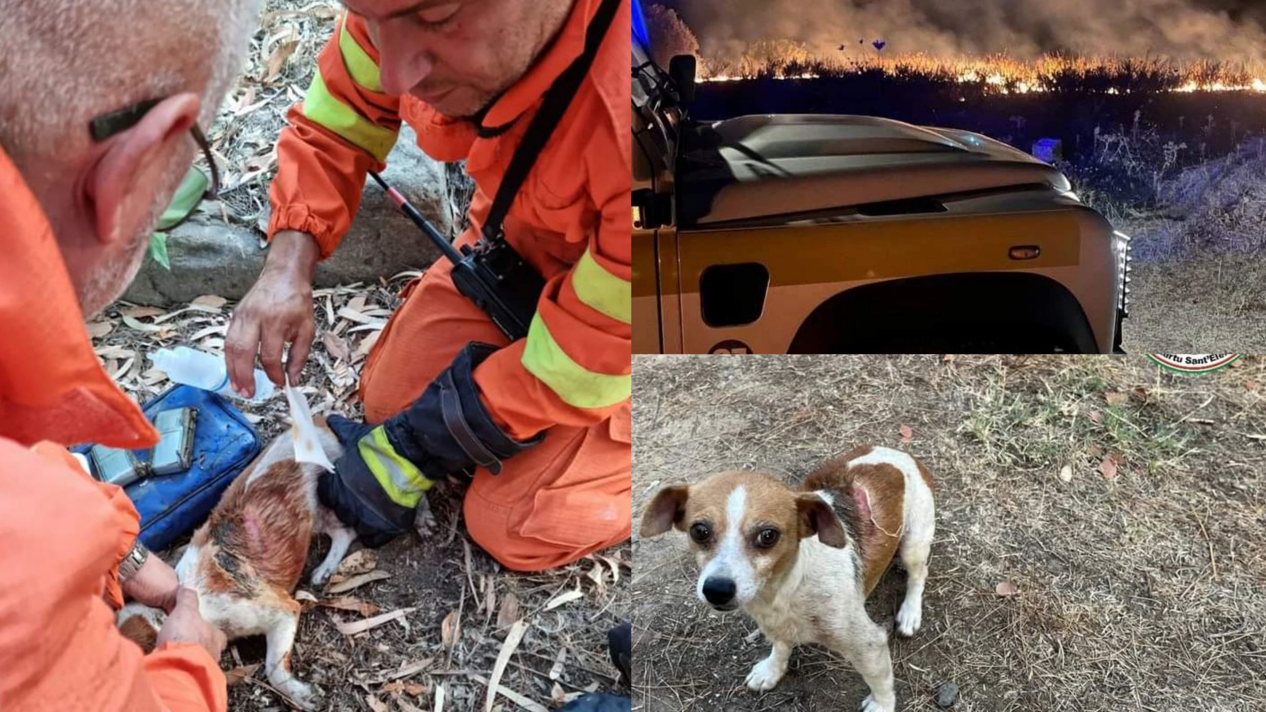 Settimo, cagnolino salvato dalle fiamme grazie ai volontari dei vigili del fuoco di Quartu
